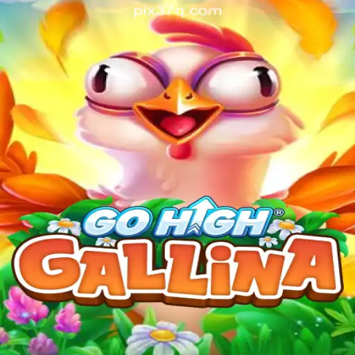 Exploring the Innovative World of GoHighGallina: A New Era in Online Gaming